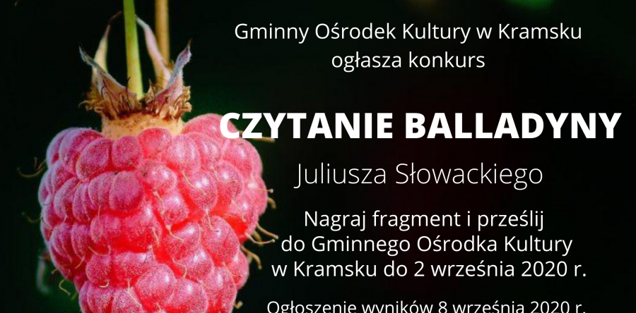 NARODOWE CZYTANIE 2020